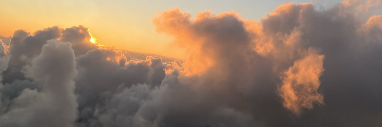 HaddadAmber's profile banner image