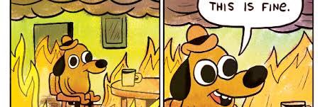 Conselheiro Acácio banner