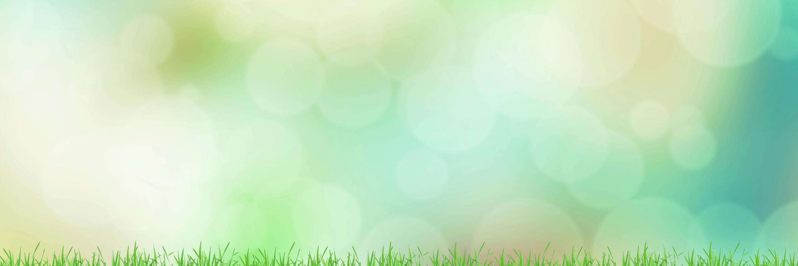 thejoyguild's profile banner image
