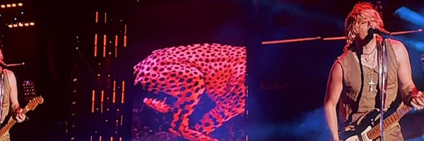 martyerbak Profile Banner