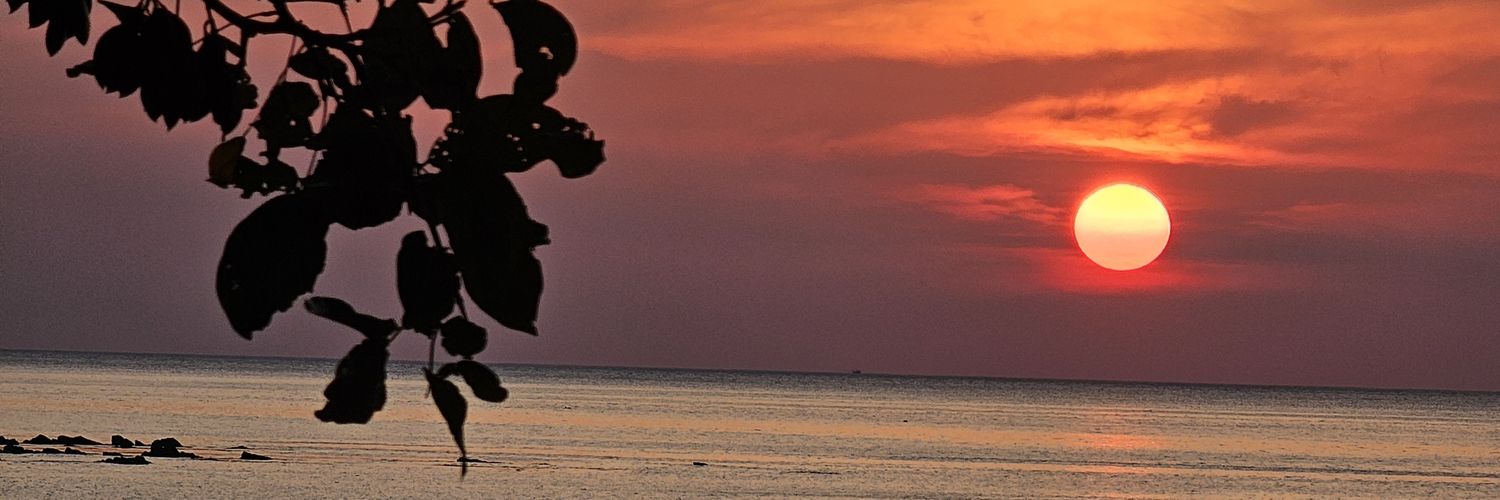 Bolwog's profile banner image