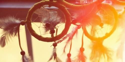 allanaricetti's profile banner image