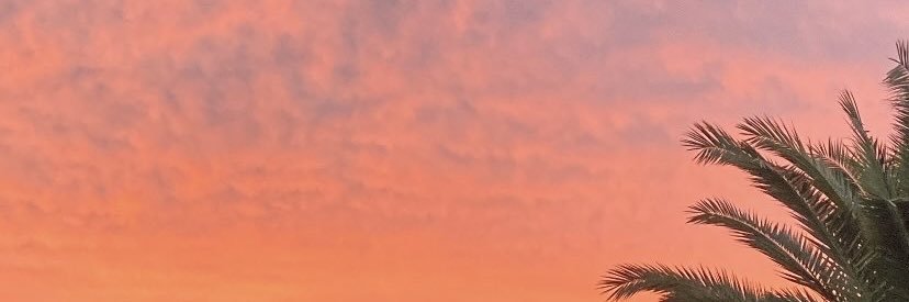 camiosenda's profile banner image