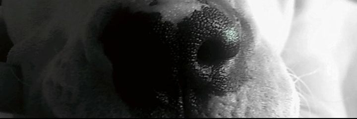 AbiiContessi's profile banner image