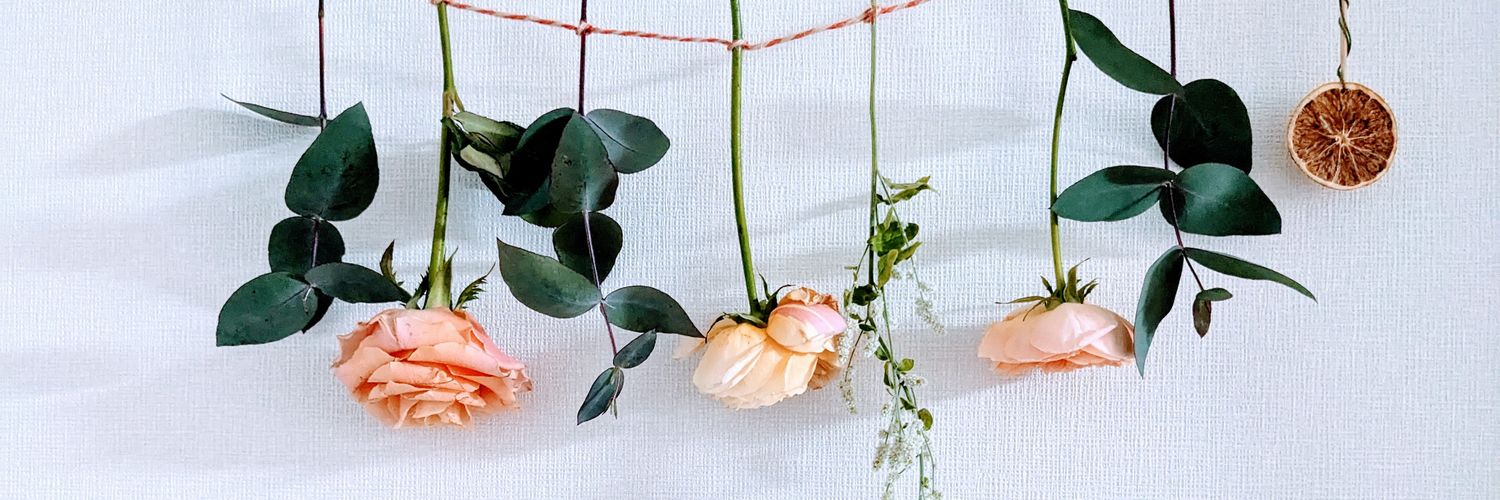 shirohamchan's profile banner image