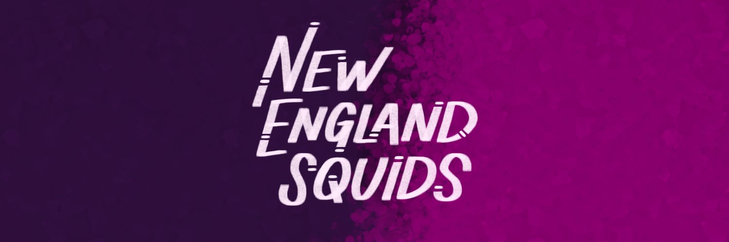 New England Squids banner
