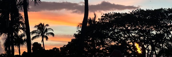 ERDAORGANIC Profile Banner