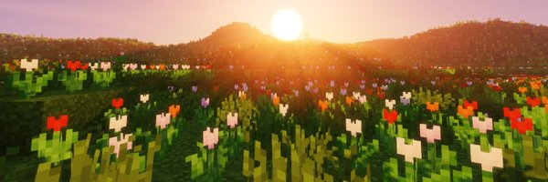 FandomSmp Profile Banner