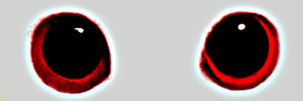 Milk4EverToast Profile Banner