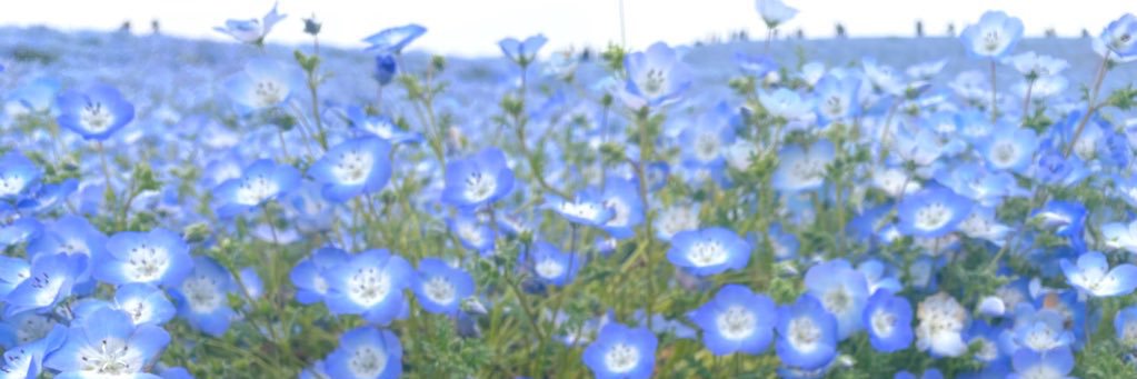 arumuzus24's profile banner image