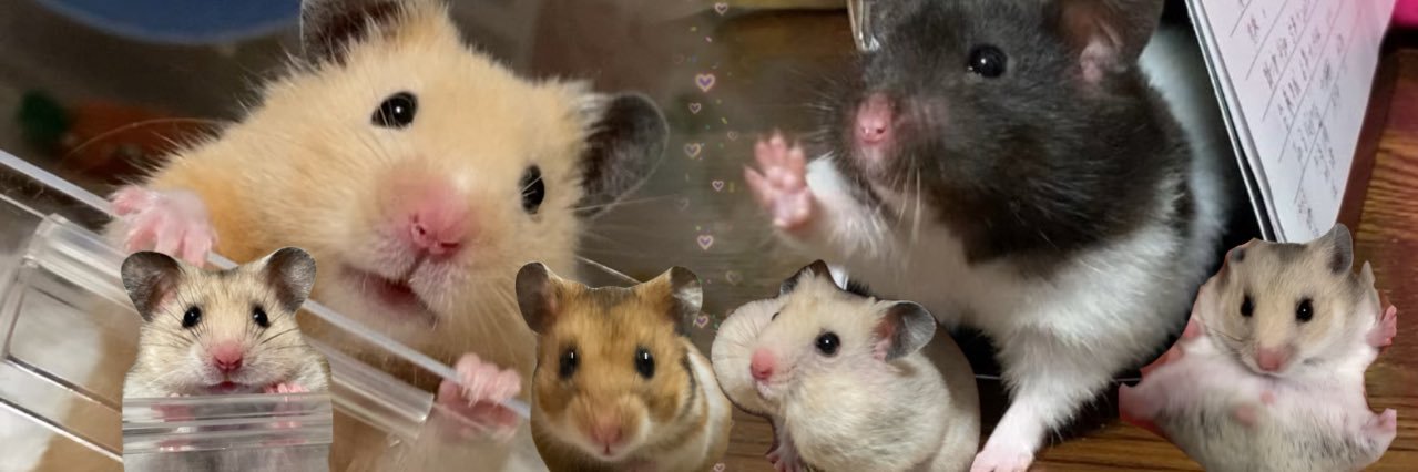 はむけつぷりっつ🍑's banner