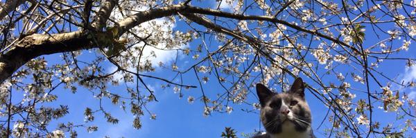 72prufrocks Profile Banner