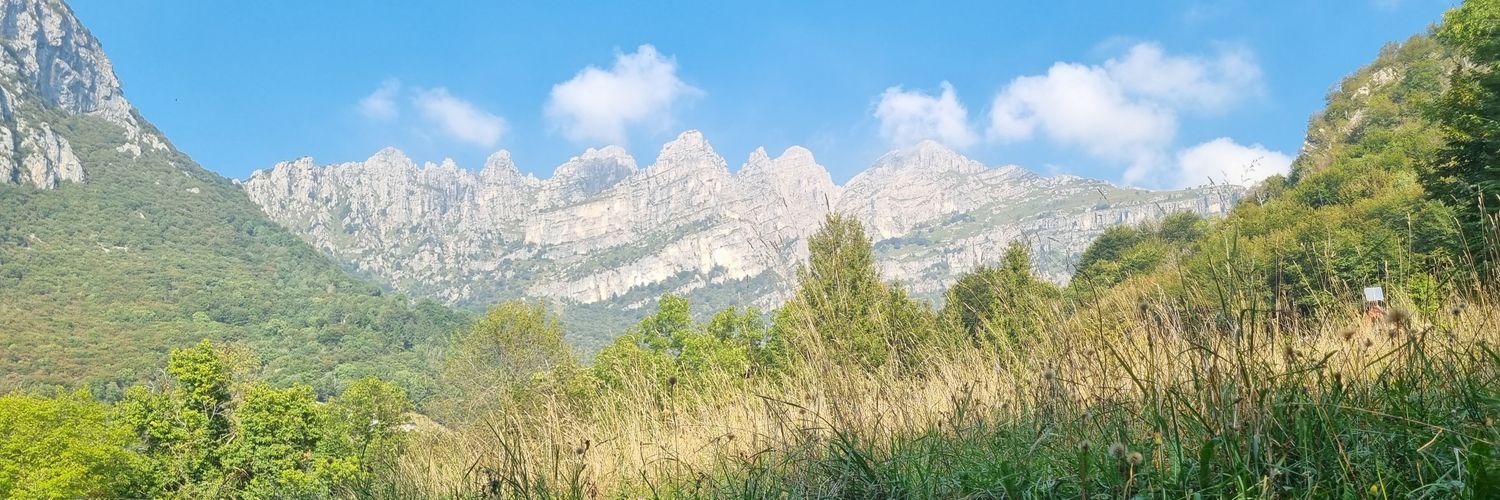 Salmone Di Fuoco banner