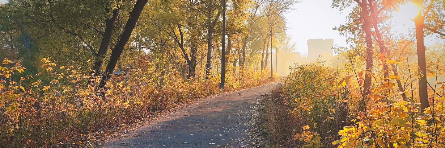 Зуби Паскаля banner