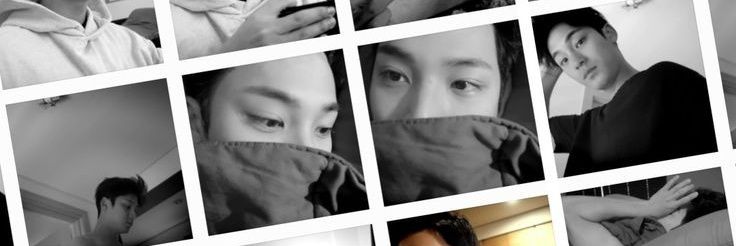 ʕ⁠っ⁠•⁠ᴥ⁠•⁠ʔ⁠っ banner