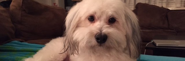 LiatS's profile banner image