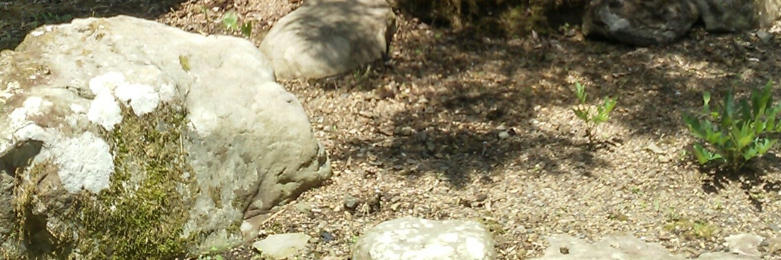 がくぶち banner