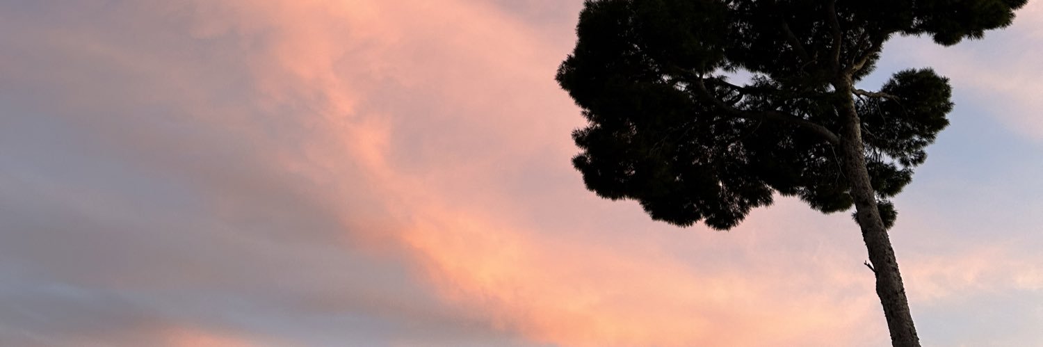 HugoCas15's profile banner image