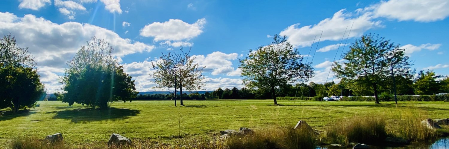 Dr. Dave Sander banner