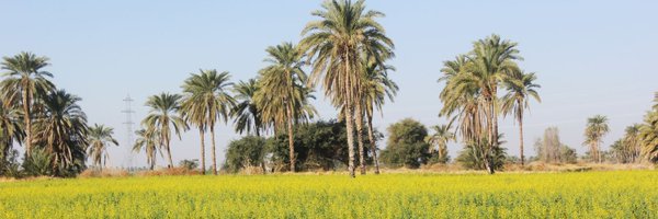 Banadi_baloch3 Profile Banner