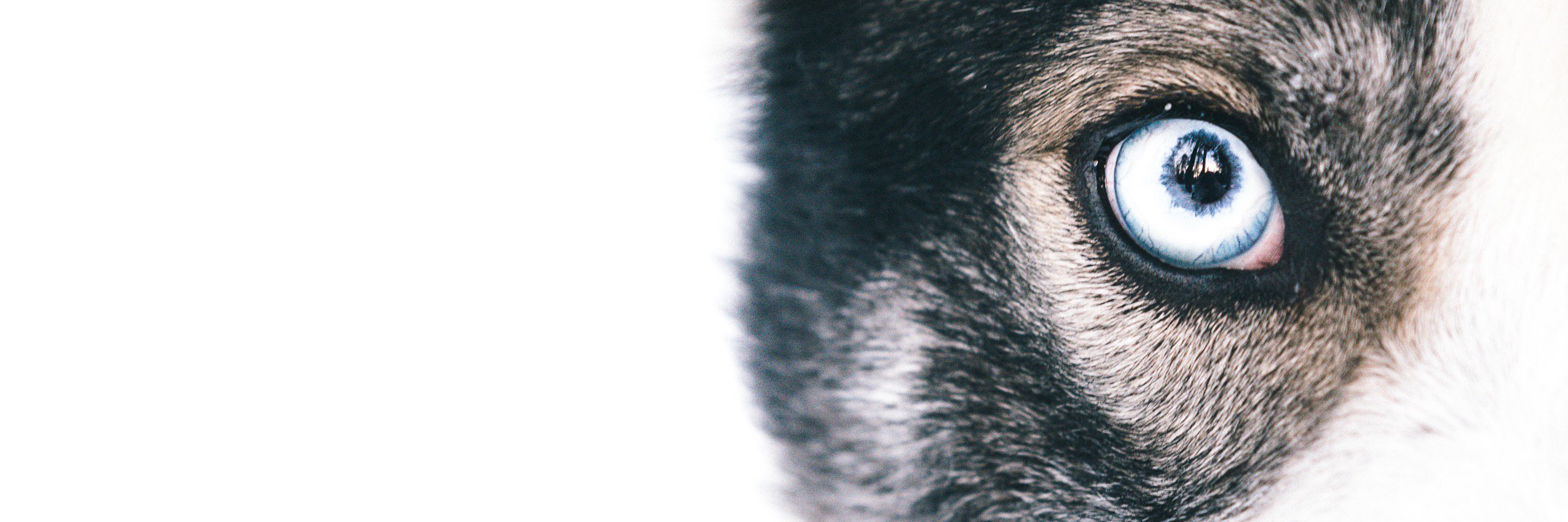 arcticlapse's profile banner image