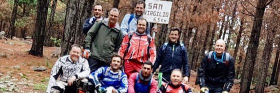 fitomalatini's profile banner image