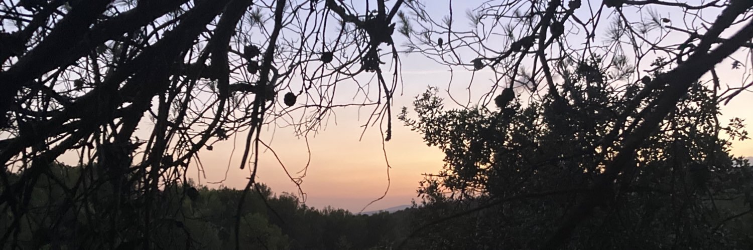 Phil34210's profile banner image