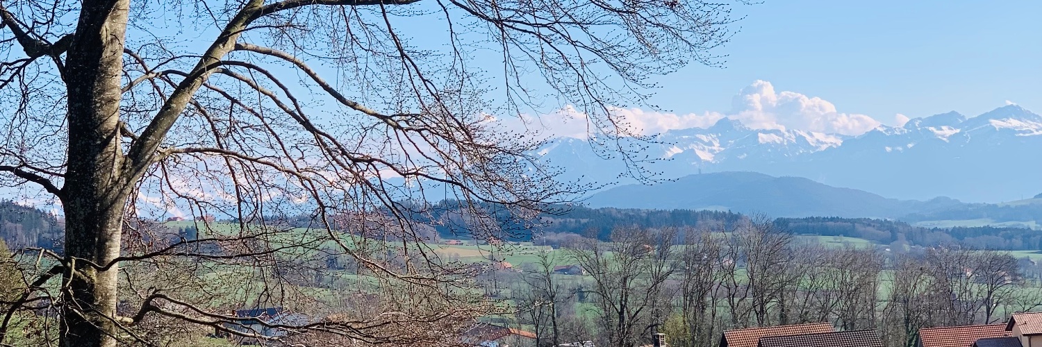 AmorMavi's profile banner image