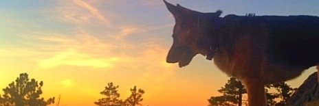 AshleyKaters's profile banner image