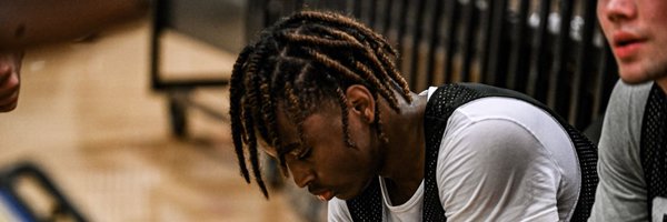 dev3larry Profile Banner