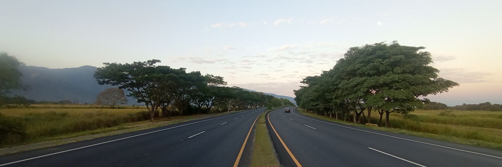 Daniel ⛰️🌳🍃 banner