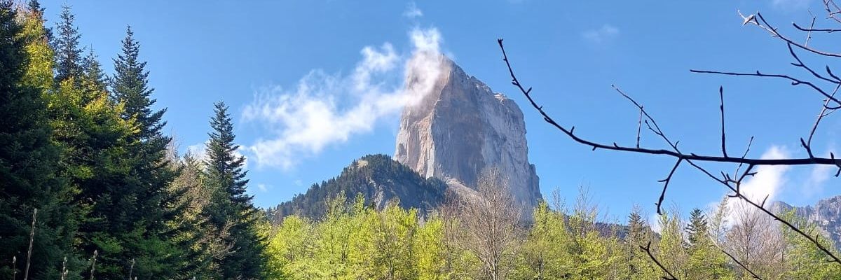 Vincent Pichoud banner