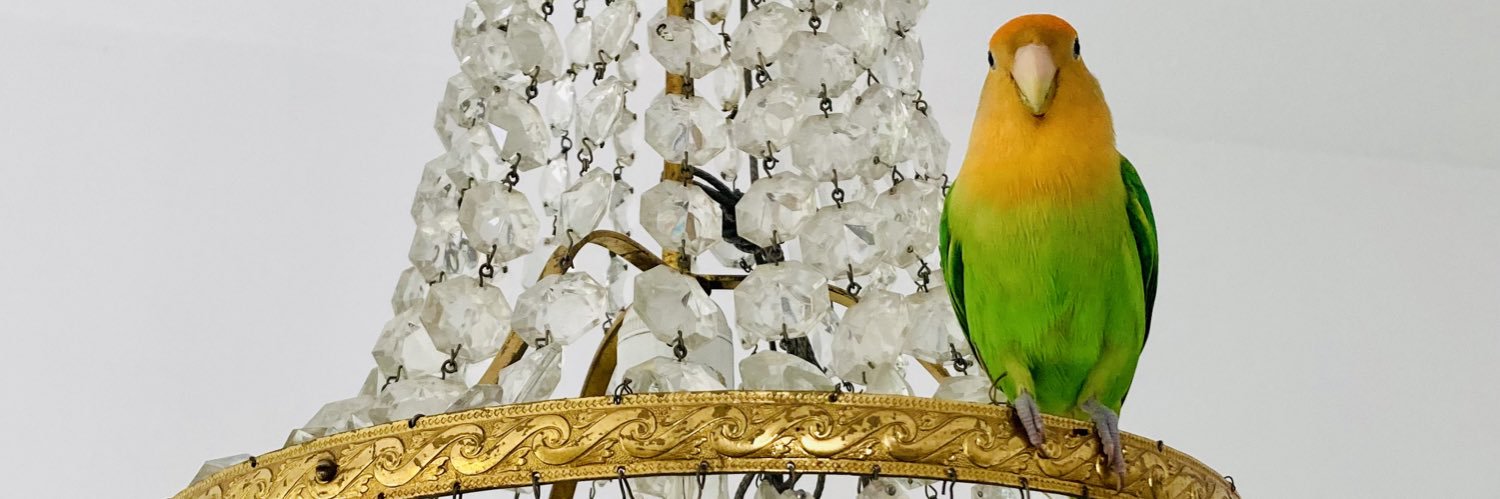 Herr_Marx's profile banner image