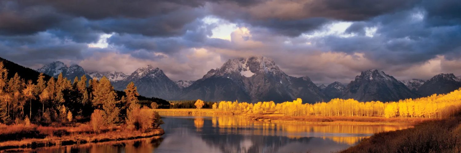 Wyoming Stable Token Commission's banner