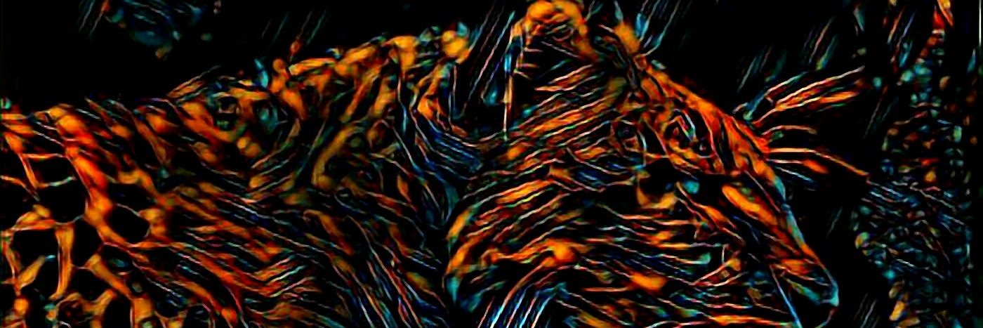 MarcosGabryel's profile banner image