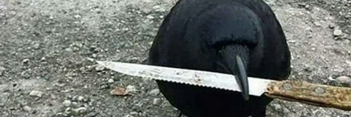 des_gos_to's profile banner image