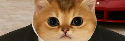 Professor Push banner