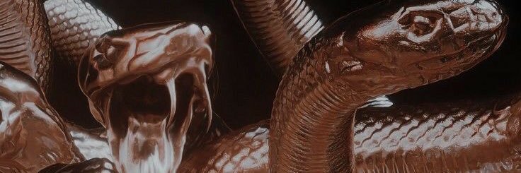 Golden snakes banner