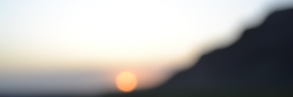 msmaya Profile Banner