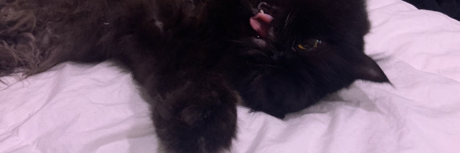 æ🌸æ•ash•æ🌸æ banner