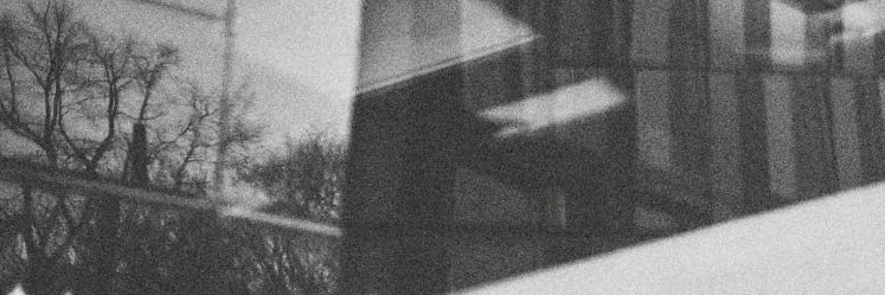 rim_light's profile banner image