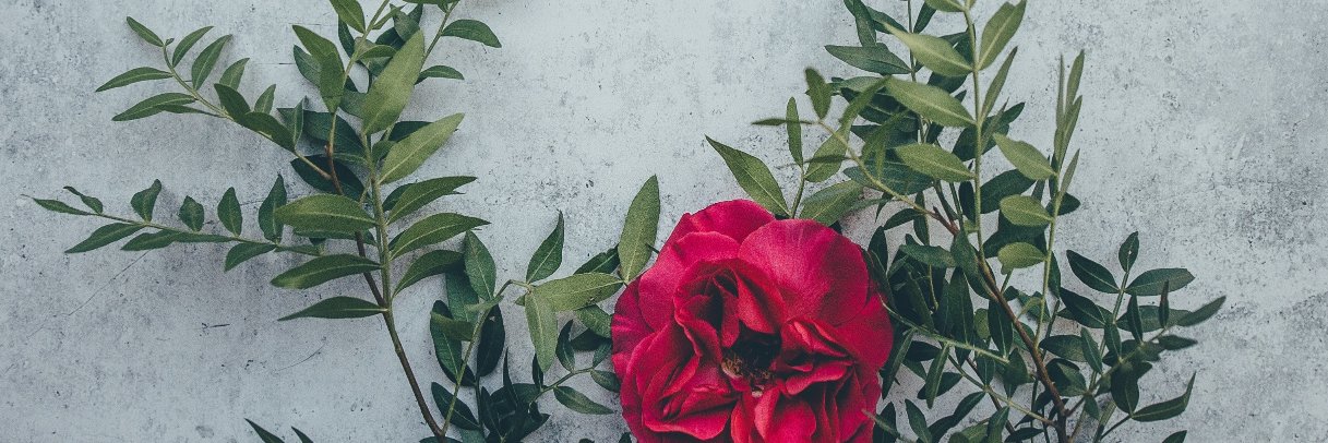 khavita's profile banner image