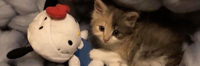 🔆 banner