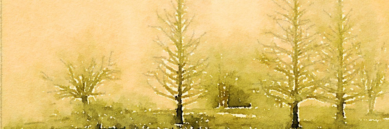 MForshee's profile banner image
