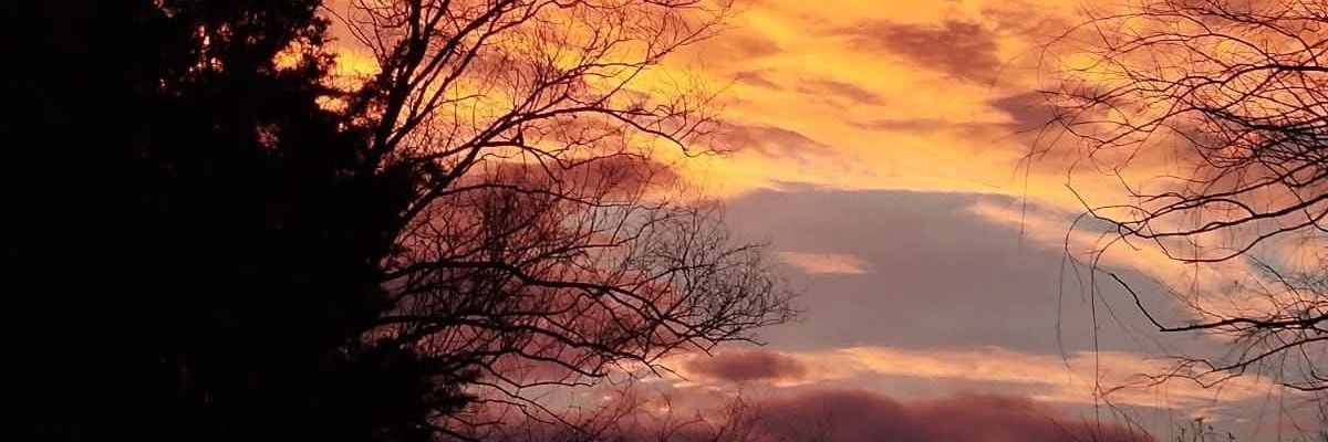 DaniBPou's profile banner image