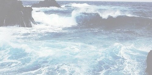 sandranvgdr3's profile banner image