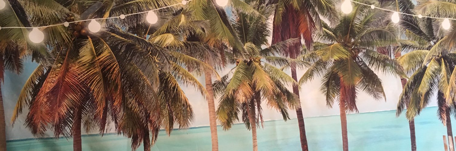 WholeLifeBoogie's profile banner image
