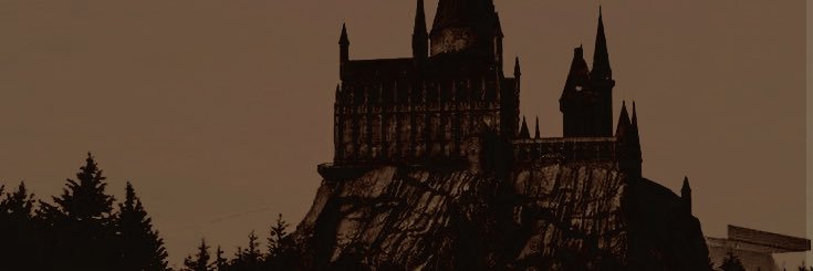 ‍‍ ‍‍𝗁𝖺𝗋𝗋𝗒 𝗉𝗈𝗍𝗍𝖾𝗋. banner