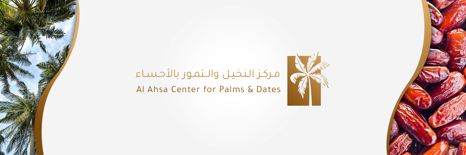DatePalmcenter's profile banner image