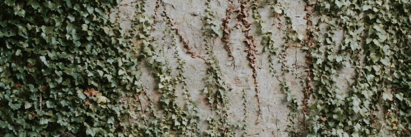 Andreas_Ex's profile banner image